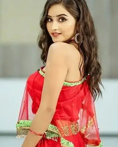 Call Girls Service Ladpura